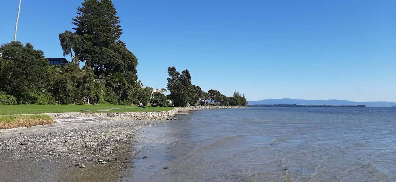 Ōtūmoetai: A Journey Through Time with Great Spice Otumoetai